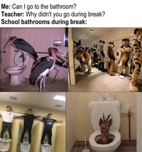 M'sieur, m'sieur, j'peux aller aux toilettes ?