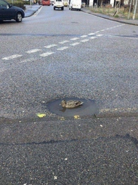 Il faut toujours apprécié ce que l'on a