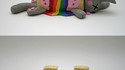 La mort du Nyan Cat