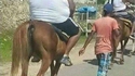 Allez hop, au galop !
