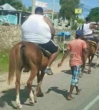 Allez hop, au galop !