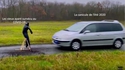 Les survivants