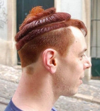 Une coiffure de m... (désolé, j'vois pas d'autre qualificatif)...