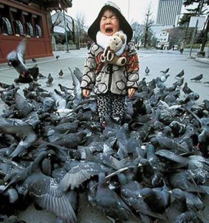 Une petite fille terrorisée par les pigeons qui l'entourent.