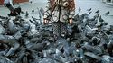 Pigeons et petite fille