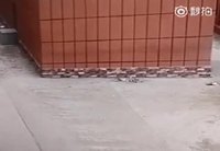 Parapluie en scooter