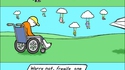 Accessibilité aux personnes handicapées