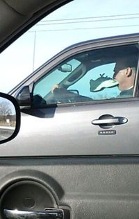 Les gens de l'autoroute