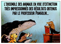 Rétroaction