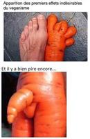 Véganisme, la vérité crue