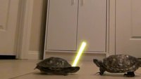 Tortues Jedi