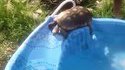 Toboggan de piscine