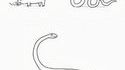 L'origine du Brachiosaure ?