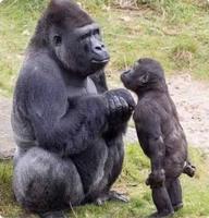 Conflit des générations en vue