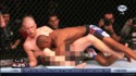 MMA sexy