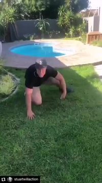 Des cascadeurs font un fight challenge 
