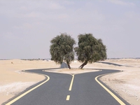 Rompre la monotonie de la route