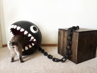Un chat dans la bouche du chomp