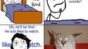 Chat voyeur