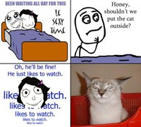 Chat voyeur