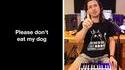 There eating the dogs, there eating the cats....