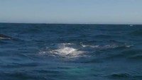 Arc-en-ciel de la mer