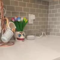 Ou sont ils ces cons la ?