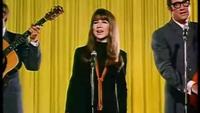 The Carnval is Over-The Seekers (1967)