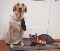 Harry et son esclave