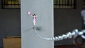 Art de rue 16