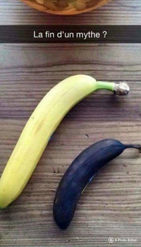 Fin de la légende ?