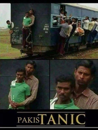 pakistanic