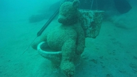 Pendant ce temps, au fond de la mer