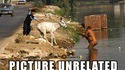 Un moment WTF 44