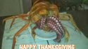 Thanksgiving japonais (2)