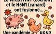 Alerte sanitaire - H6N2 le ciel s'assombrit 