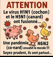 Alerte sanitaire - H6N2 le ciel s'assombrit 