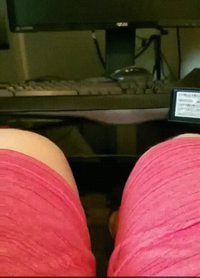 Ce chien viendrait-il de la chatte ?