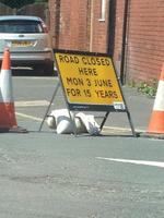 J'espère qu'ils seont dans les temps