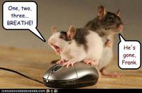Mouse story 