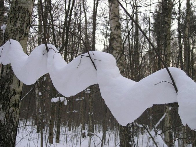 Une neige suffisament élastique pour tenir entre des branches.