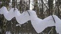 Neige tenace