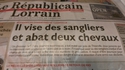 Un chasseur pas brecouille