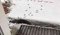 La neige en préliminaire de noël