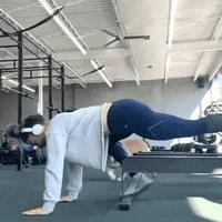 Amener son chien à la gym