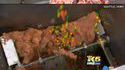 Viande aux Skittles