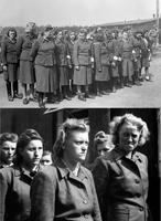 21 Avril 1945 : les anglais libèrent le camp de concentration essentiellement féminin de Bergen-Belsen