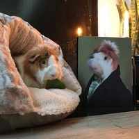 Portrait du vieil oncle d'Amérique