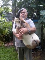 Souffler dans sa chèvre