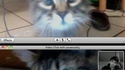 Chat chat